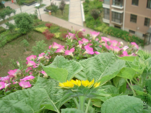 DSC03979.JPG