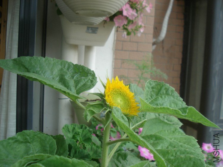 DSC03985.JPG