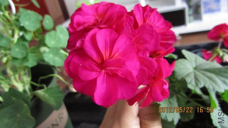 �ܴ�Ļ�����Ĳ�������Ŷ