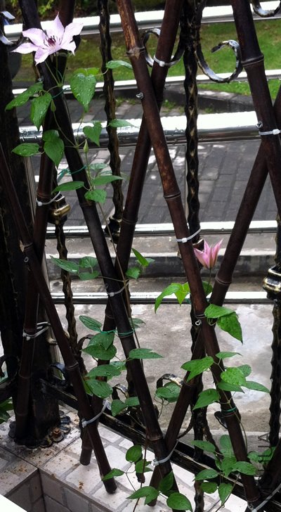 ����20120525.jpg