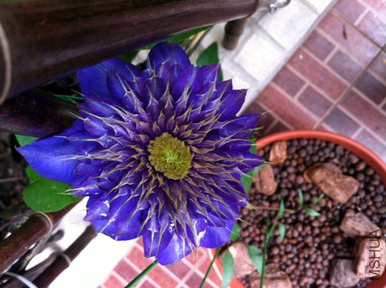 ����20120430.jpg