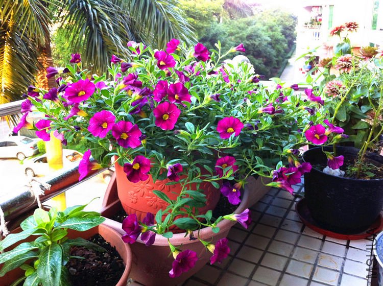 ��Ƭ 022_����.jpg
