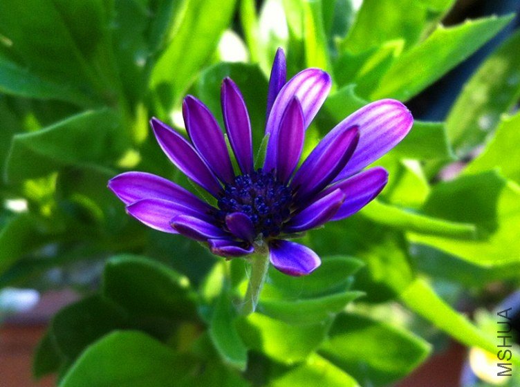 ��Ƭ 031_����.jpg