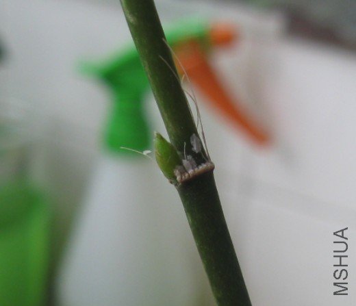 QQ��ͼ20120525134334.jpg