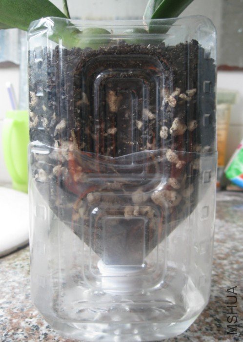 QQ��ͼ20120525134354.jpg