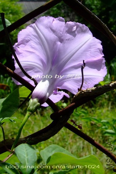 ������ 3.jpg