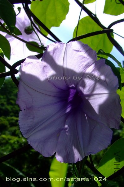 ������ 2.jpg