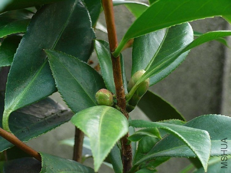 5.JPG