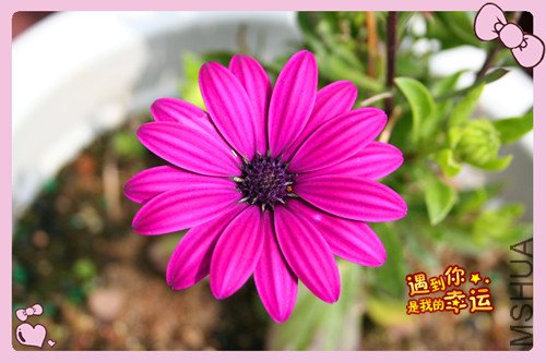 ��Ƭ 014_������1.jpg