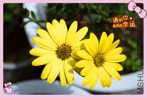 ��Ƭ 015_������2.jpg