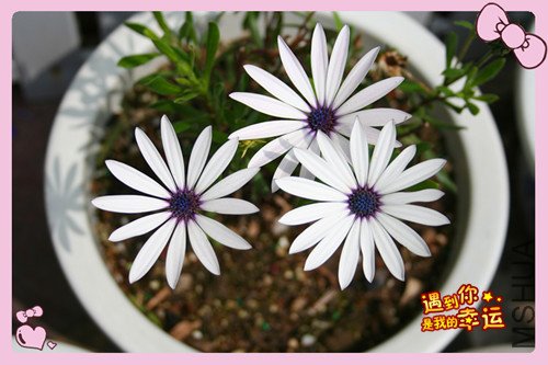 ��Ƭ 019_������3.jpg