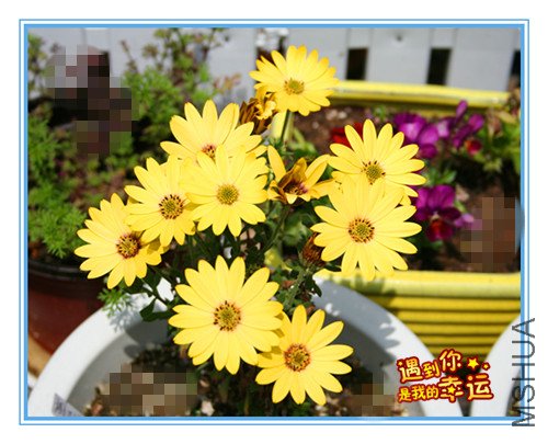 ��Ƭ 016_������6.jpg