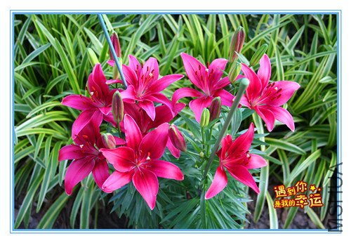 ��Ƭ 020_������1.jpg