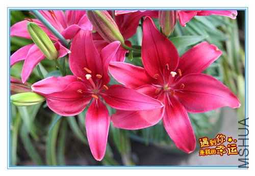 ��Ƭ 023_����2.jpg