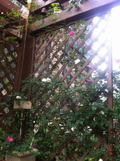 ������С ��Ƭ 019.jpg