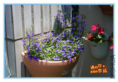 ��Ƭ 044_������.jpg