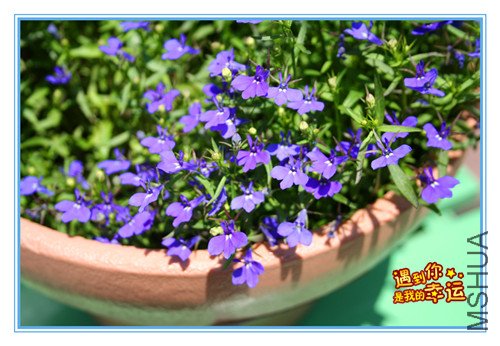 ��Ƭ 047_����.jpg