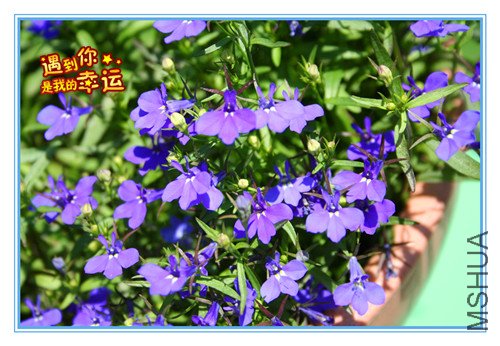 ��Ƭ 051_����.jpg