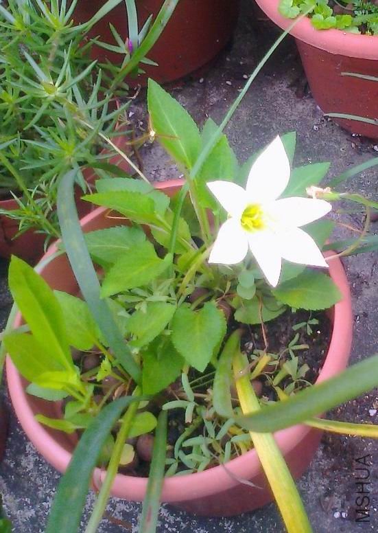 ��Ƭ0183.jpg