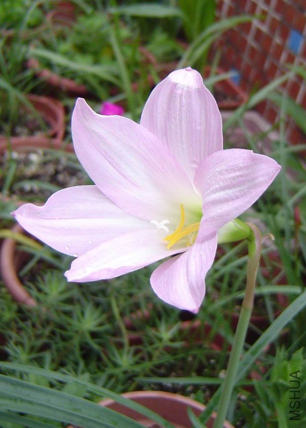 DSC00320.jpg