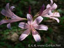 u=328170871,352376833&fm=52&gp=0[1].jpg