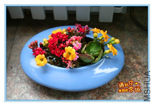 ��Ƭ 026_����3.jpg