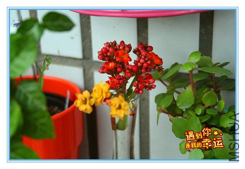 ��Ƭ 024_����2.jpg