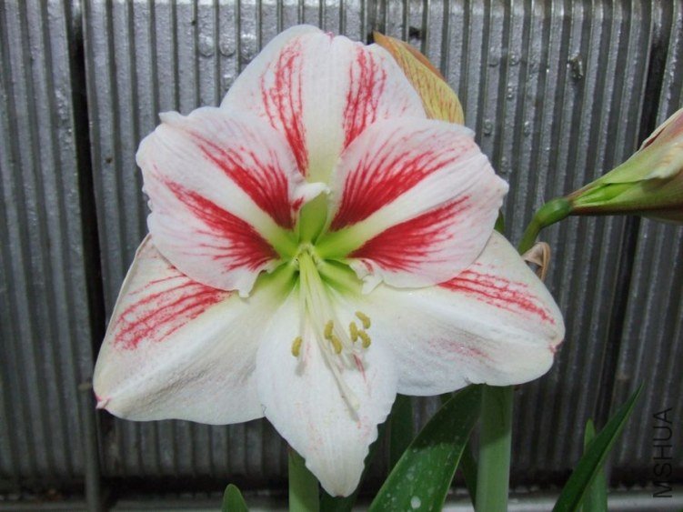DSCF2421.jpg
