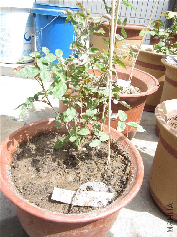 �¼� 005_����.jpg