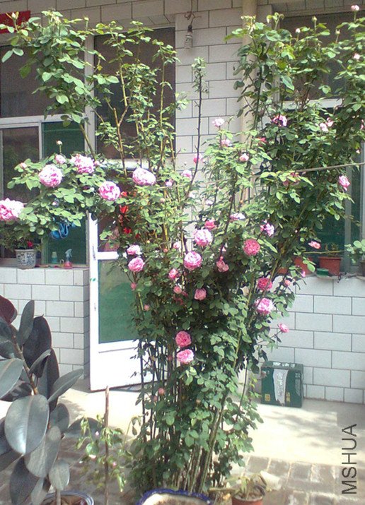 ͼ��0140_����.jpg