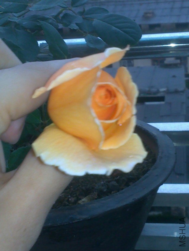 20120526668.jpg