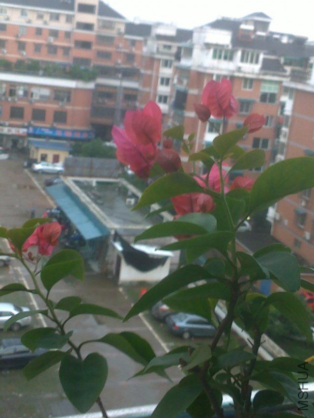 20120526669.jpg