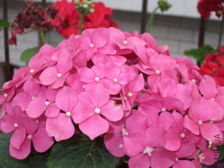 DSCF9671.jpg