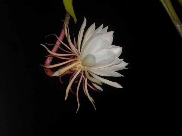 ��Ƭ 033.jpg