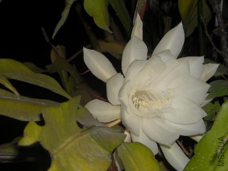 ��Ƭ 037.jpg