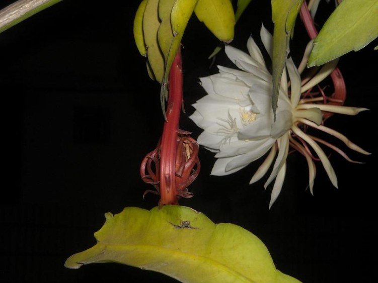 ��Ƭ 044.jpg