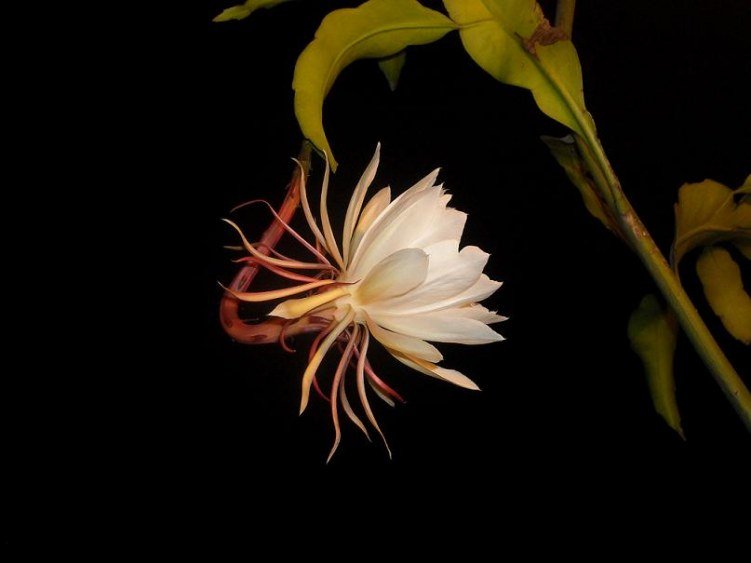 ��Ƭ 061.jpg