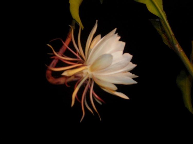 ��Ƭ 062.jpg