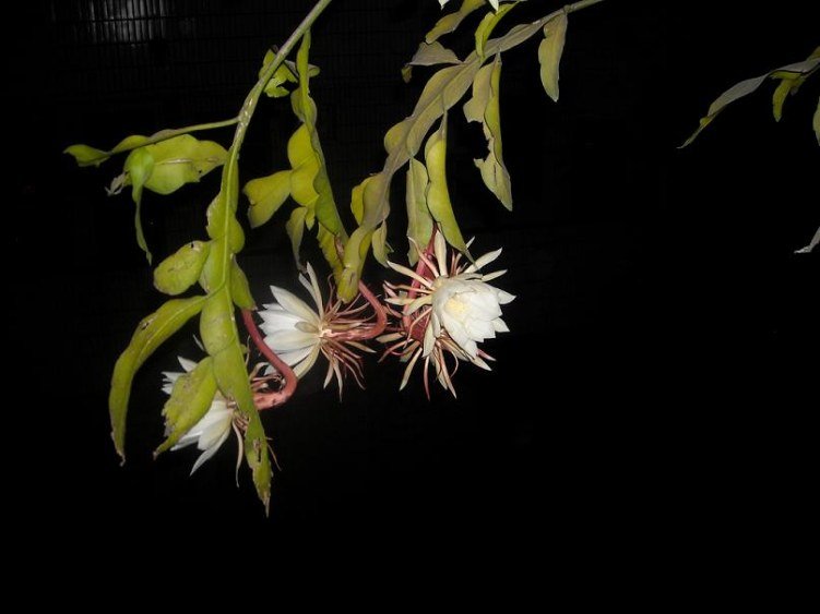 ��Ƭ 067.jpg
