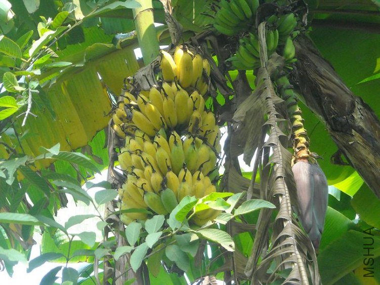 ��Ƭ 090.jpg