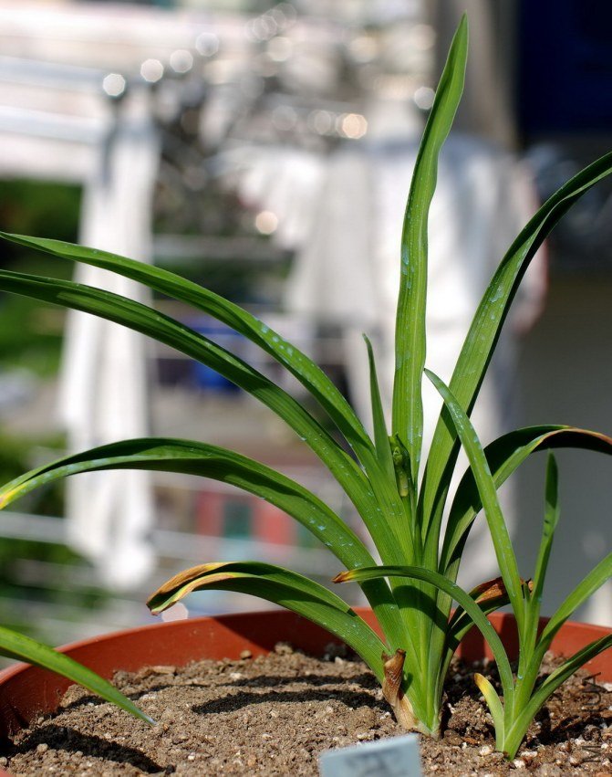 5��27������