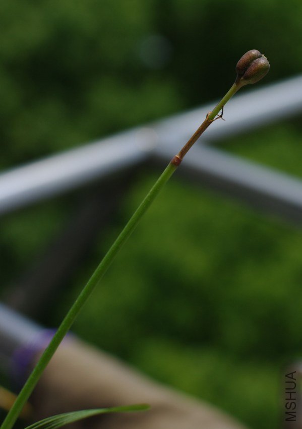 27������