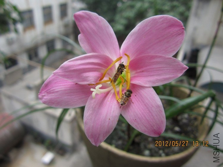 IMG_0579.JPG