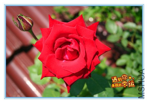 ��Ƭ 083_������.jpg