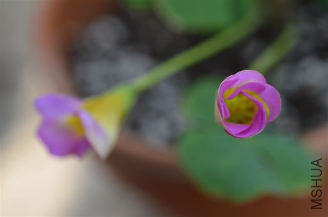 20120527 910.jpg