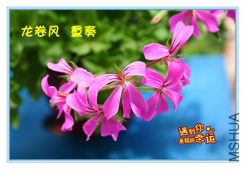 ��Ƭ 101_���������� ����.jpg