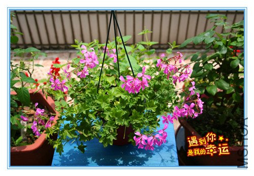 ��Ƭ 097_���������� ����.jpg