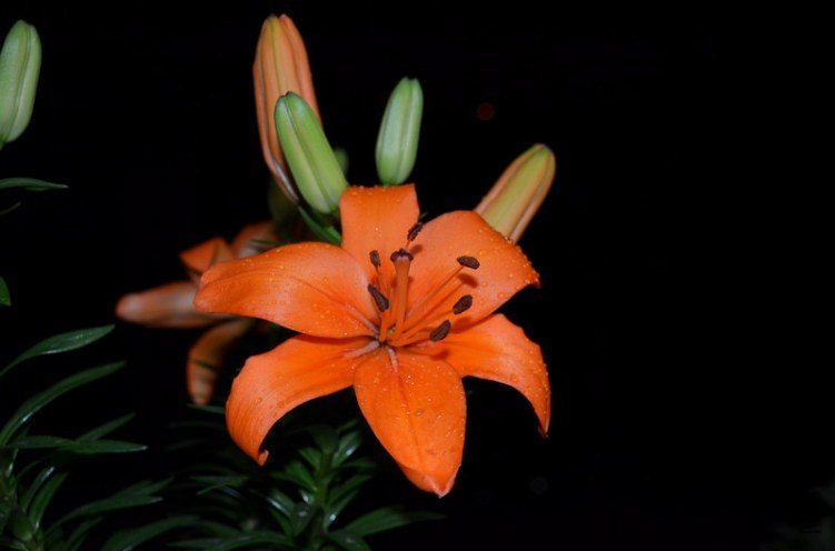 DSC_0109_������С.JPG