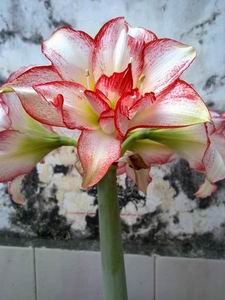 1201203311855.jpg