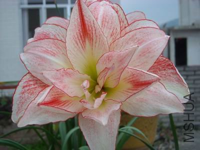 ������С DSCN1718.JPG